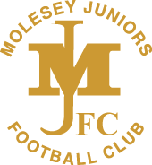 Molesey Juniors FC badge